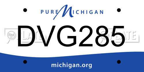 DVG285 Michigan License Plate