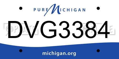 DVG3384 Michigan License Plate