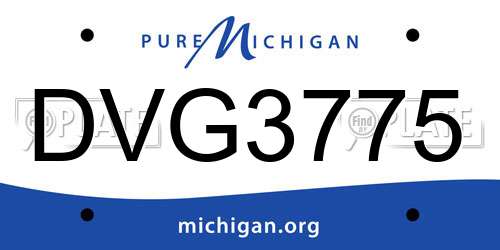 DVG3775 Michigan License Plate