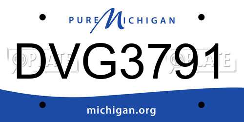 DVG3791 Michigan License Plate