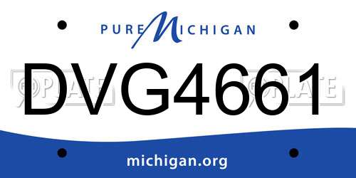 DVG4661 Michigan License Plate