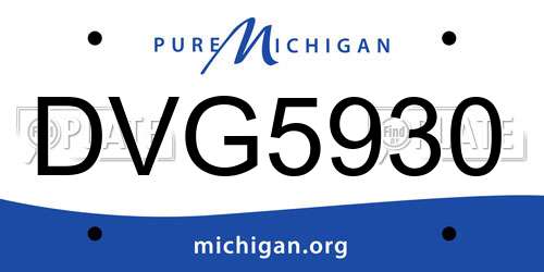 DVG5930 Michigan License Plate