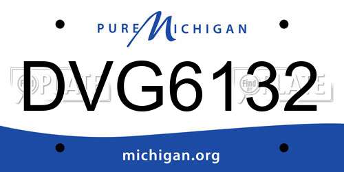 DVG6132 Michigan License Plate