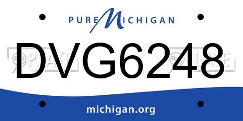 DVG6248 Michigan License Plate