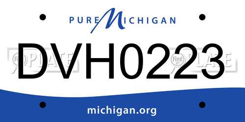 DVH0223 Michigan License Plate