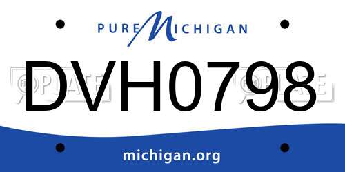 DVH0798 Michigan License Plate