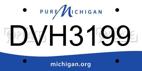 DVH3199 Michigan License Plate