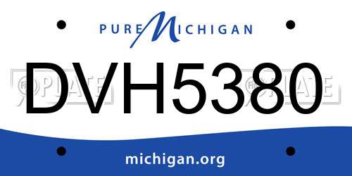 DVH5380 Michigan License Plate
