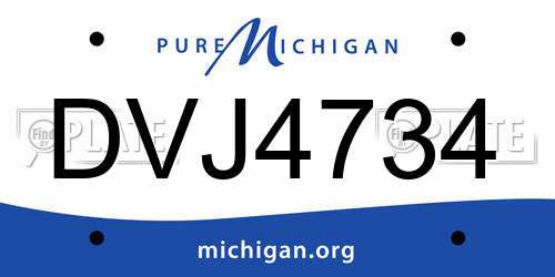 DVJ4734 Michigan License Plate