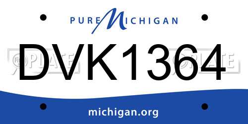 DVK1364 Michigan License Plate