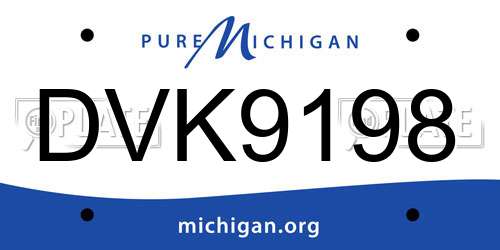 DVK9198 Michigan License Plate