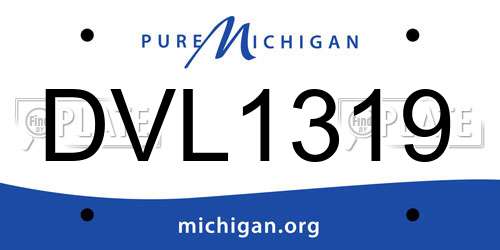 DVL1319 Michigan License Plate