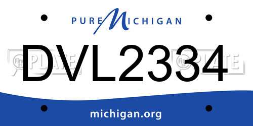 DVL2334 Michigan License Plate