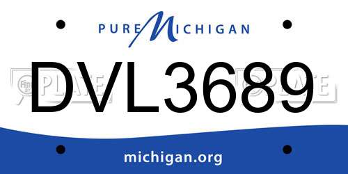 DVL3689 Michigan License Plate