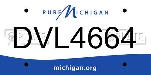 DVL4664 Michigan License Plate