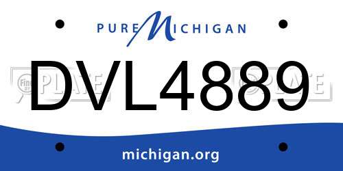 DVL4889 Michigan License Plate