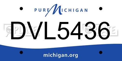 DVL5436 Michigan License Plate