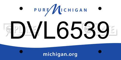 DVL6539 Michigan License Plate