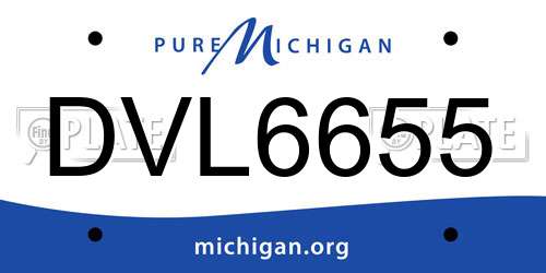 DVL6655 Michigan License Plate
