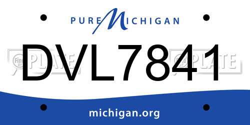 DVL7841 Michigan License Plate