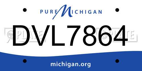 DVL7864 Michigan License Plate