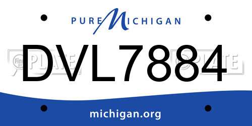 DVL7884 Michigan License Plate