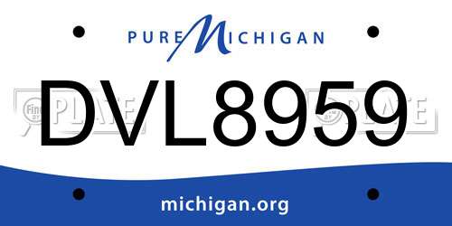 DVL8959 Michigan License Plate