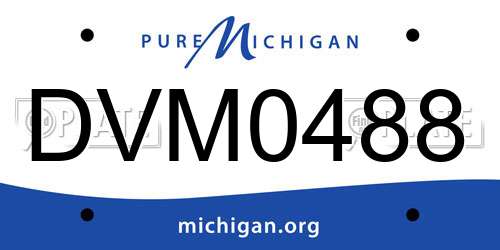DVM0488 Michigan License Plate