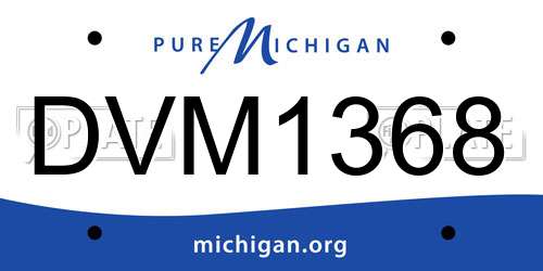 DVM1368 Michigan License Plate