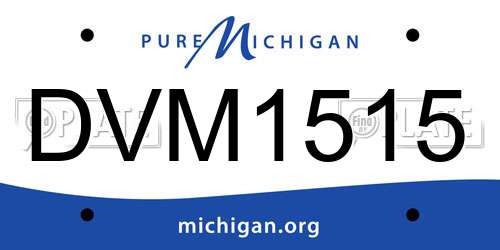 DVM1515 Michigan License Plate