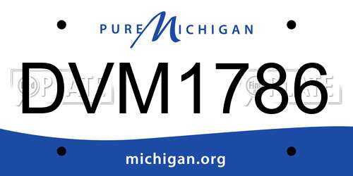DVM1786 Michigan License Plate