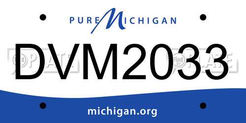 DVM2033 Michigan License Plate