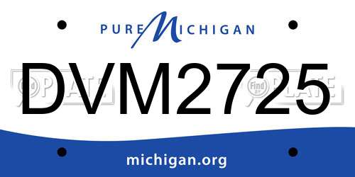 DVM2725 Michigan License Plate