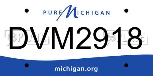 DVM2918 Michigan License Plate
