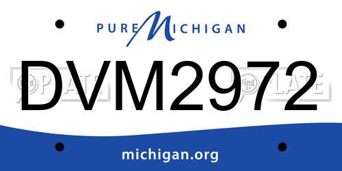 DVM2972 Michigan License Plate