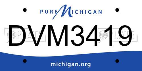 DVM3419 Michigan License Plate