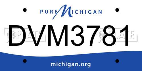 DVM3781 Michigan License Plate