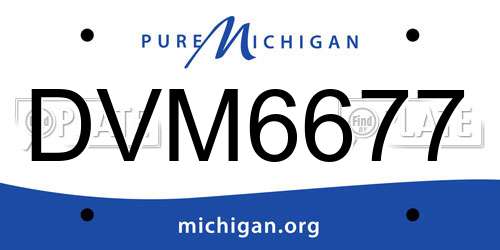 DVM6677 Michigan License Plate