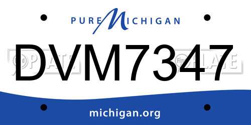 DVM7347 Michigan License Plate