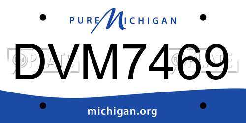 DVM7469 Michigan License Plate
