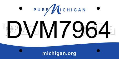 DVM7964 Michigan License Plate