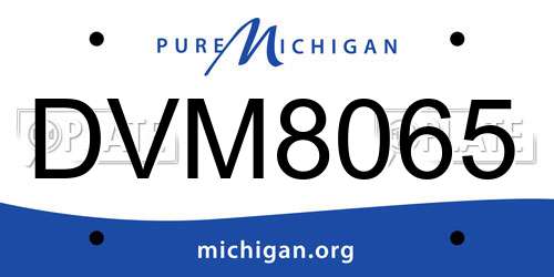 DVM8065 Michigan License Plate