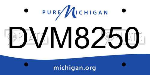 DVM8250 Michigan License Plate