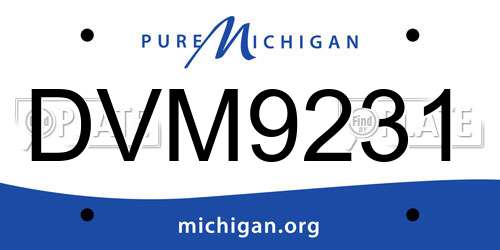 DVM9231 Michigan License Plate