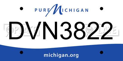 DVN3822 Michigan License Plate