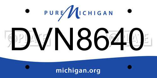DVN8640 Michigan License Plate