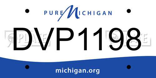 DVP1198 Michigan License Plate