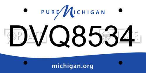 DVQ8534 Michigan License Plate
