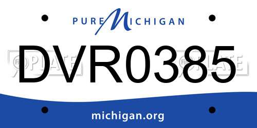 DVR0385 Michigan License Plate