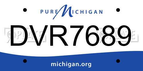 DVR7689 Michigan License Plate
